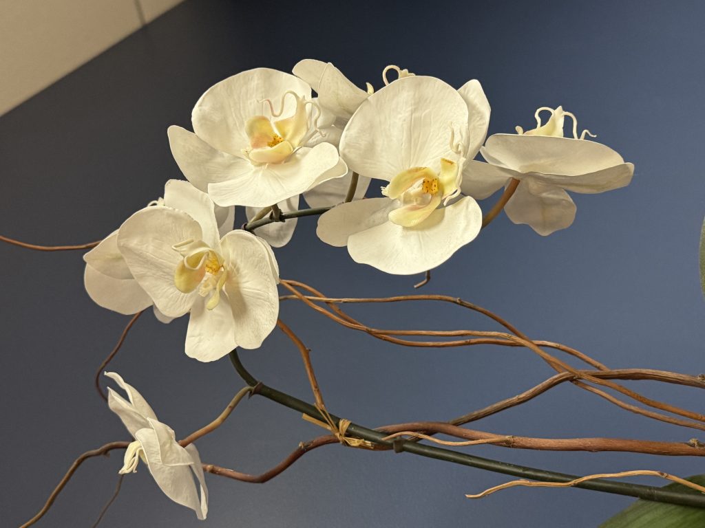 微信图片 20260210232357